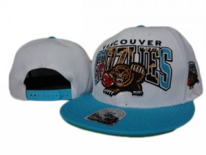 NBA Memphis Grizzlies Stitched 47 Brand Snapback Hats 043