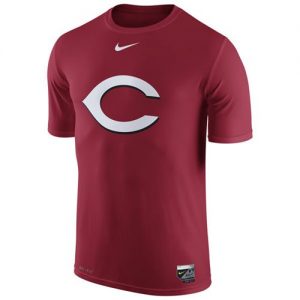 Cincinnati Reds Nike Authentic Collection Legend Logo 1.5 Performance T-Shirt Red