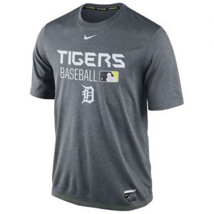 Detroit Tigers Nike Legend Team Issue Performance T-Shirt Charcoal