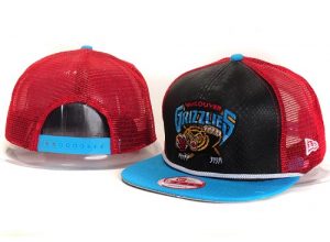 NBA Memphis Grizzlies Stitched Snapback Hats 007