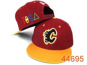 NHL Calgary Flames Stitched TISA Snapback Hats 002