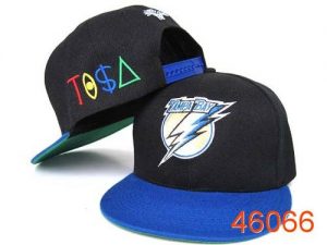 NHL Tampa Bay Lightning Stitched TISA Snapback Hats 005