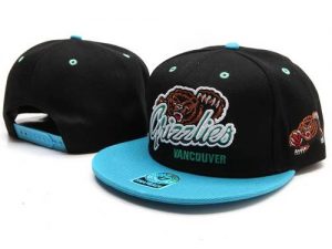 NBA Memphis Grizzlies Stitched 47 Brand Snapback Hats 028