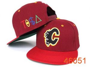NHL Calgary Flames Stitched TISA Snapback Hats 003