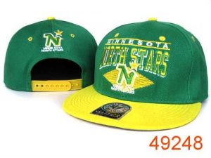 NHL Dallas Stars Stitched 47 Brand Snapback Hats 004